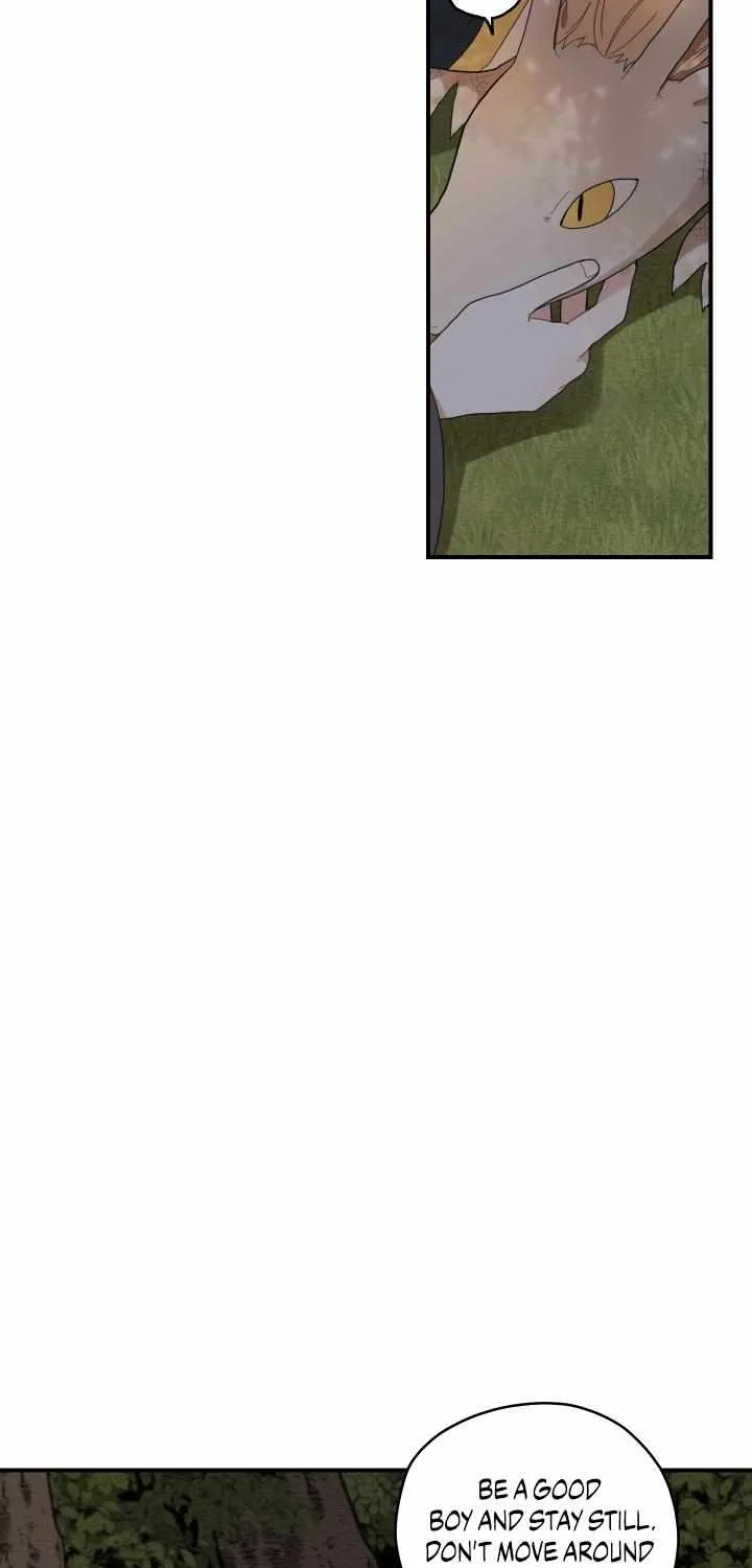 The Path Where the Forsythia Fell Chapter 9 page 9 - 
