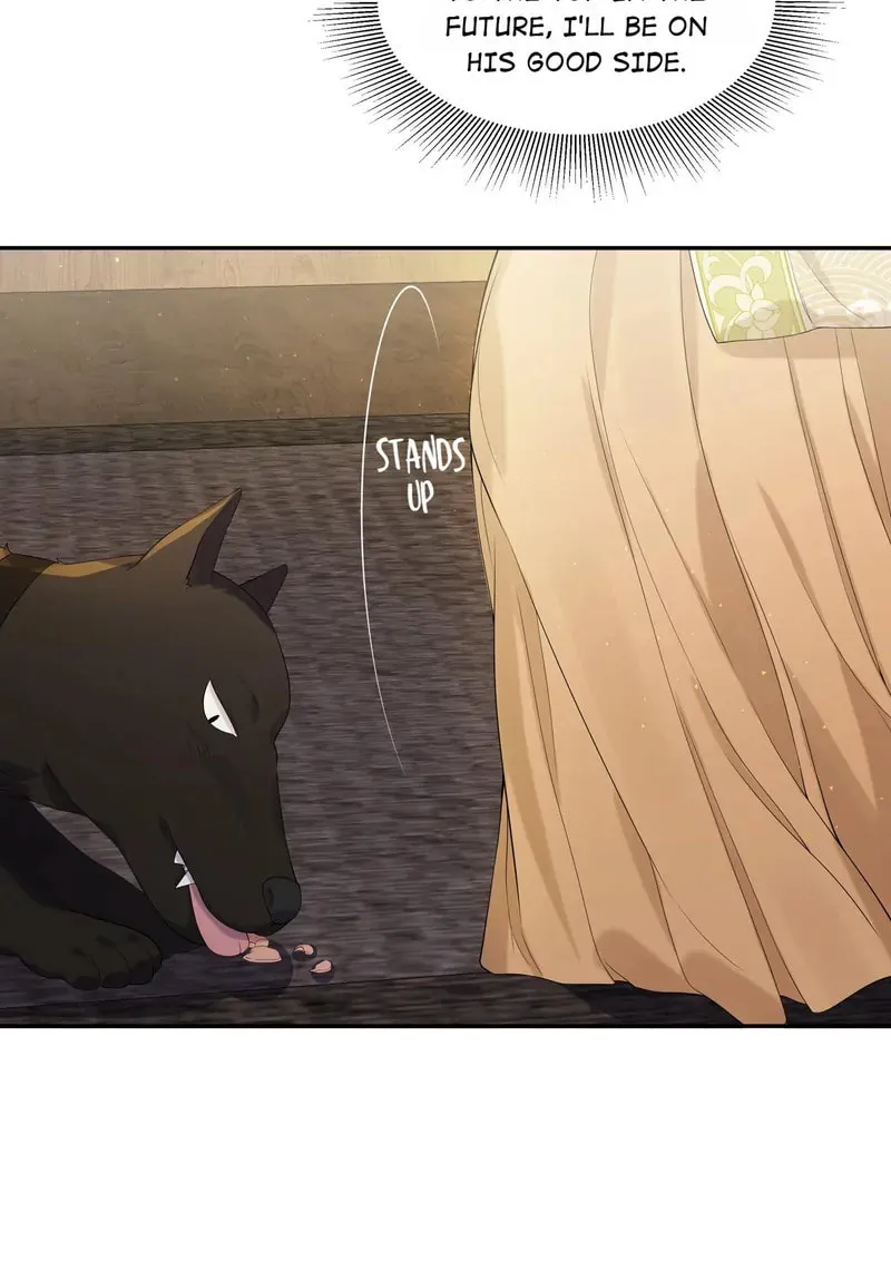 The Peach Blossoms Emulate Your Beauty Chapter 23 page 11 - 