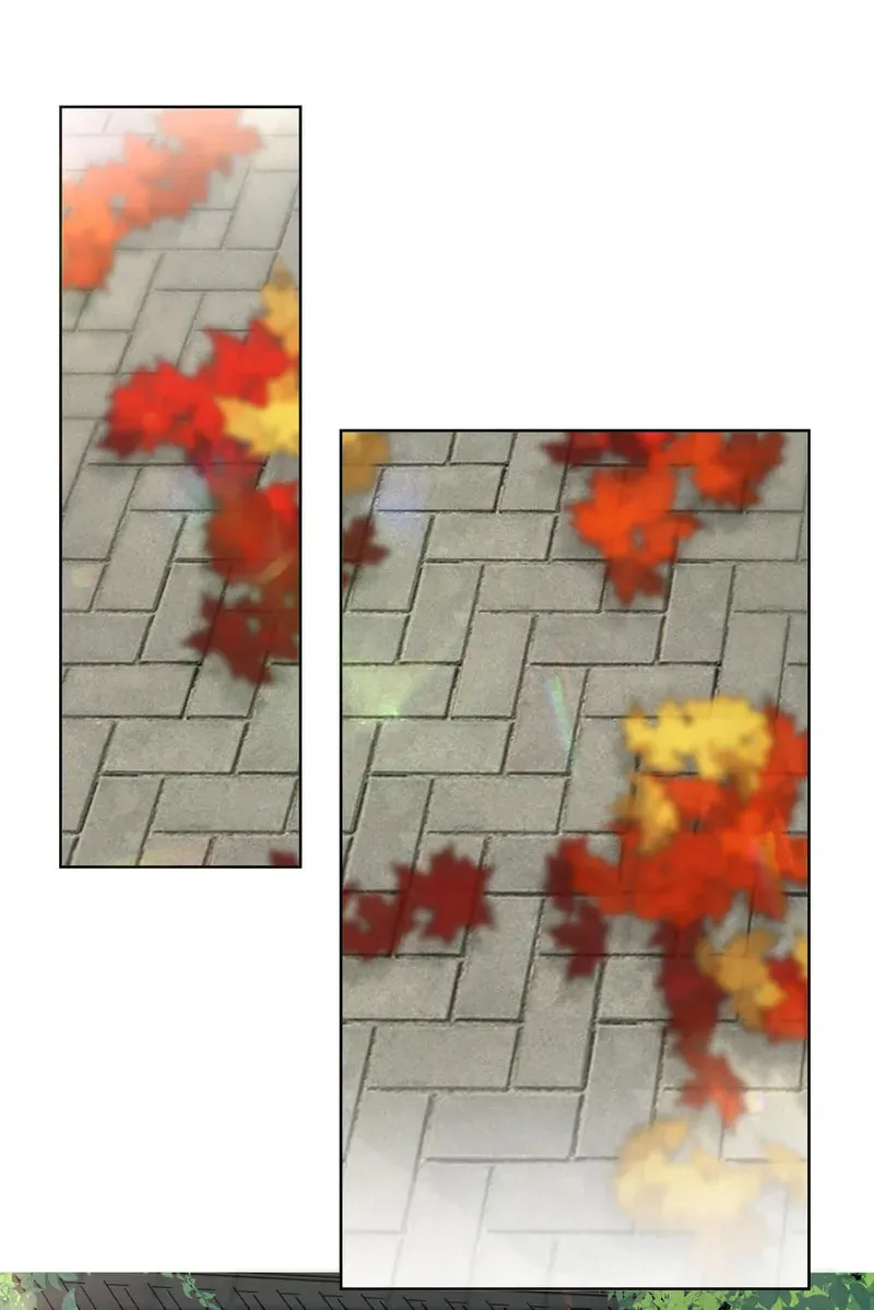 The Peach Blossoms Emulate Your Beauty Chapter 44 page 8 - 