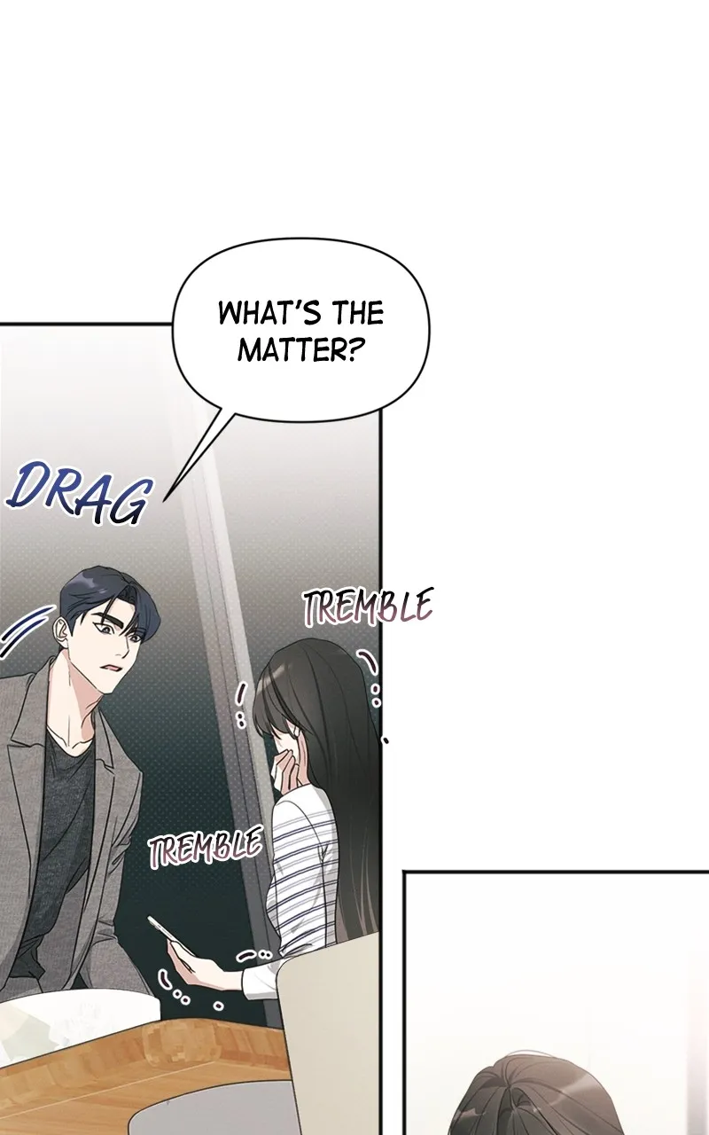 The Perfect Contract Chapter 13 page 77 - 