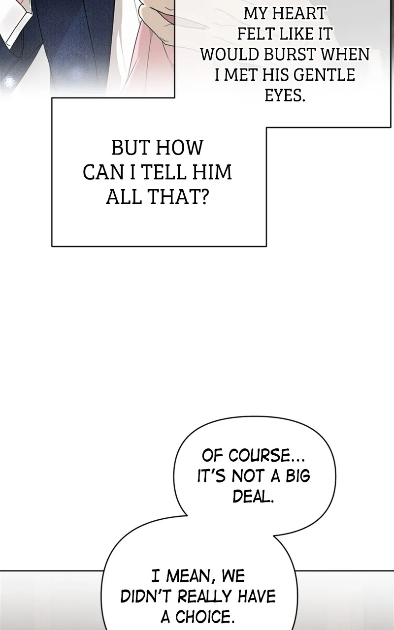 The Perfect Contract Chapter 20 page 29 - 