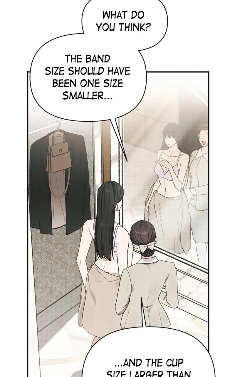 The Perfect Contract Chapter 22 page 39 - 