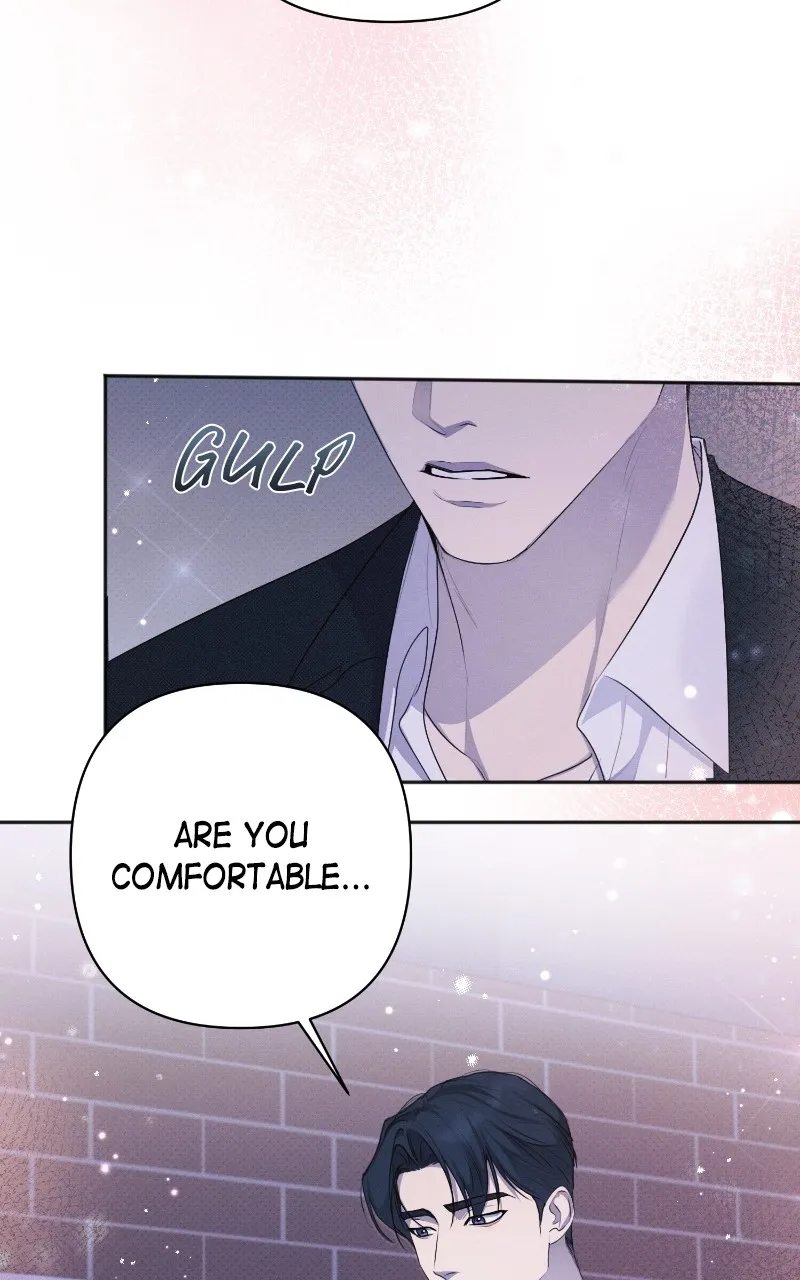 The Perfect Contract Chapter 32 page 79 - 