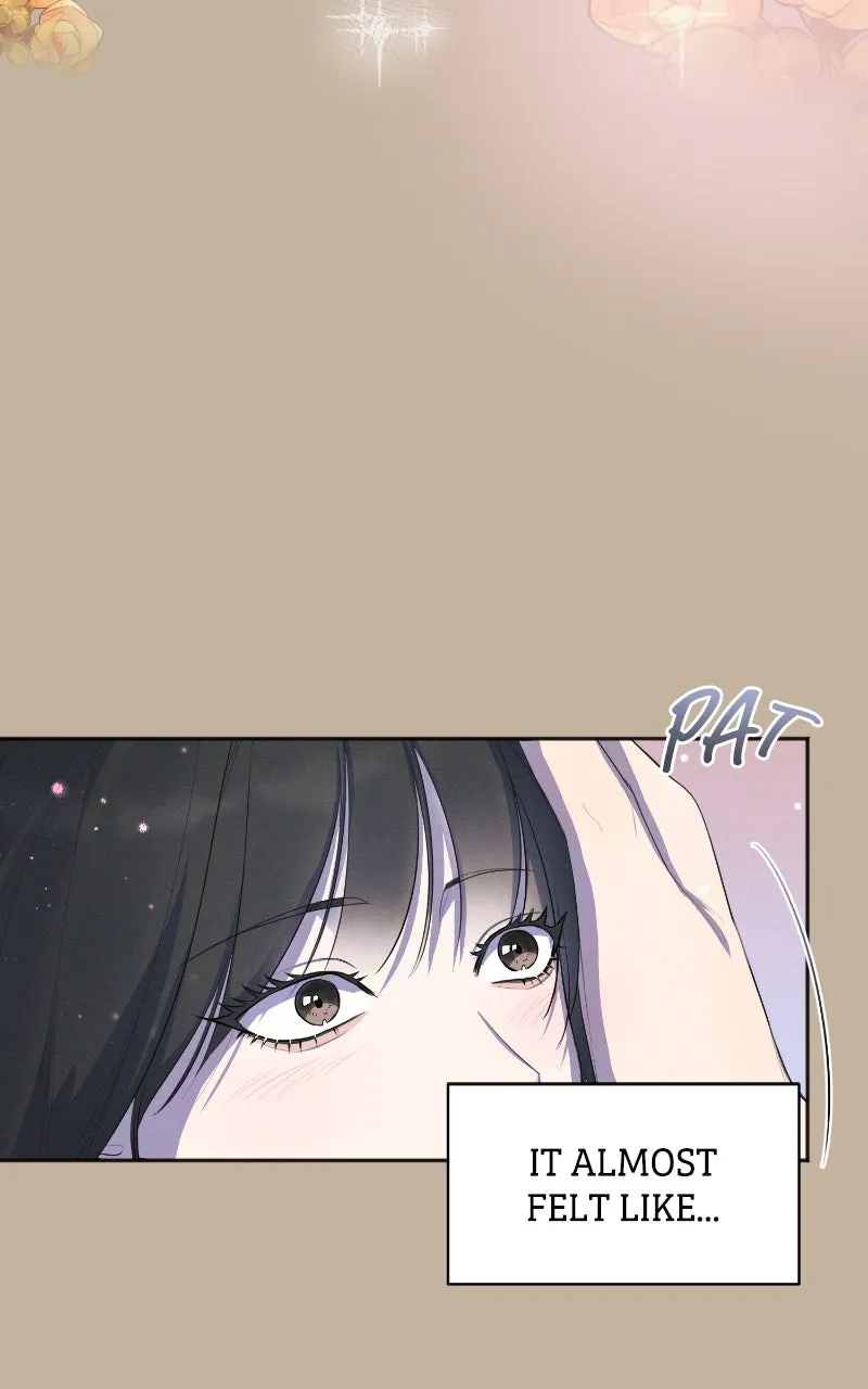 The Perfect Contract Chapter 33 page 61 - 