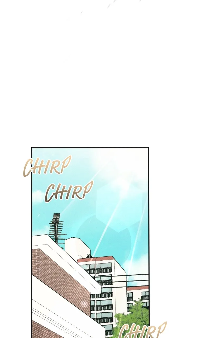The Perfect Contract Chapter 37 page 36 - 