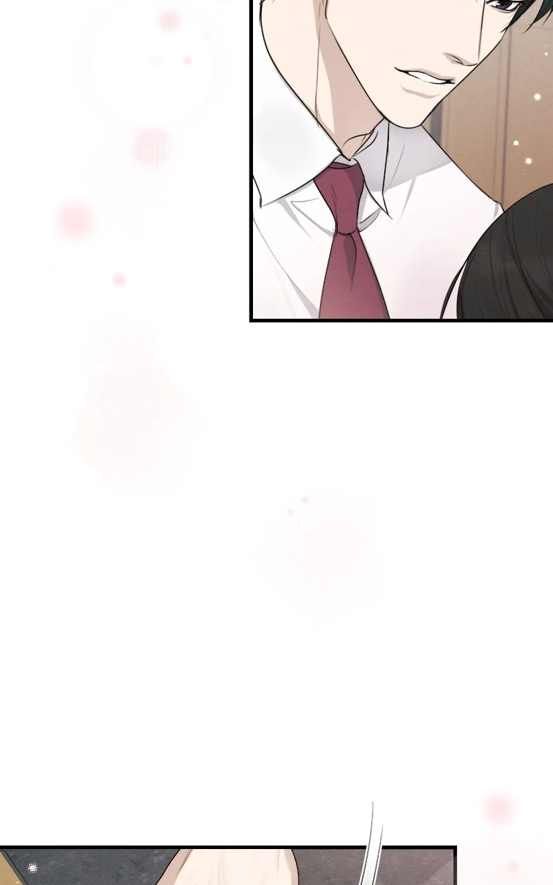 The Perfect Contract Chapter 46 page 52 - 