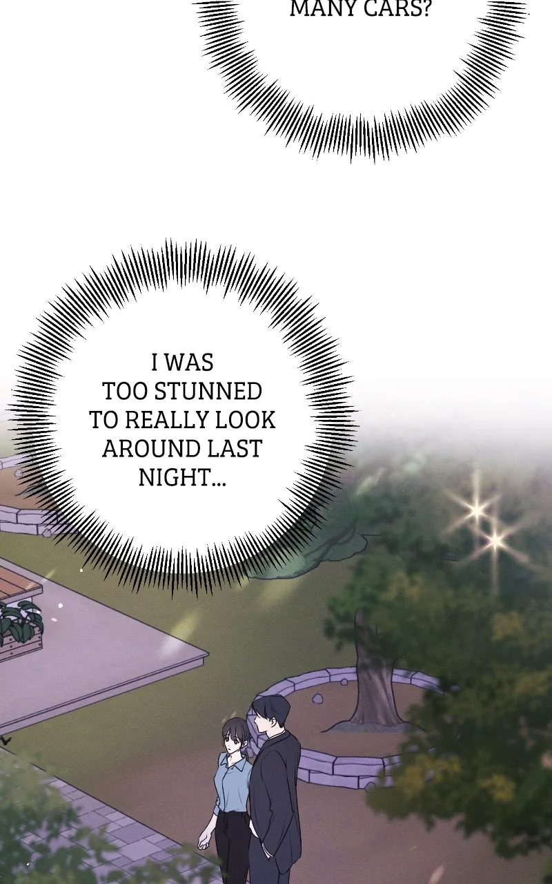 The Perfect Contract Chapter 46 page 62 - 