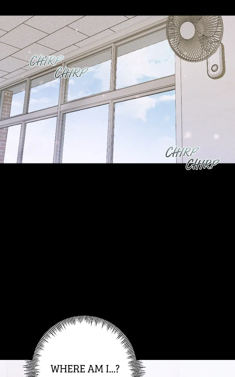 The Perfect Contract Chapter 56 page 25 - 