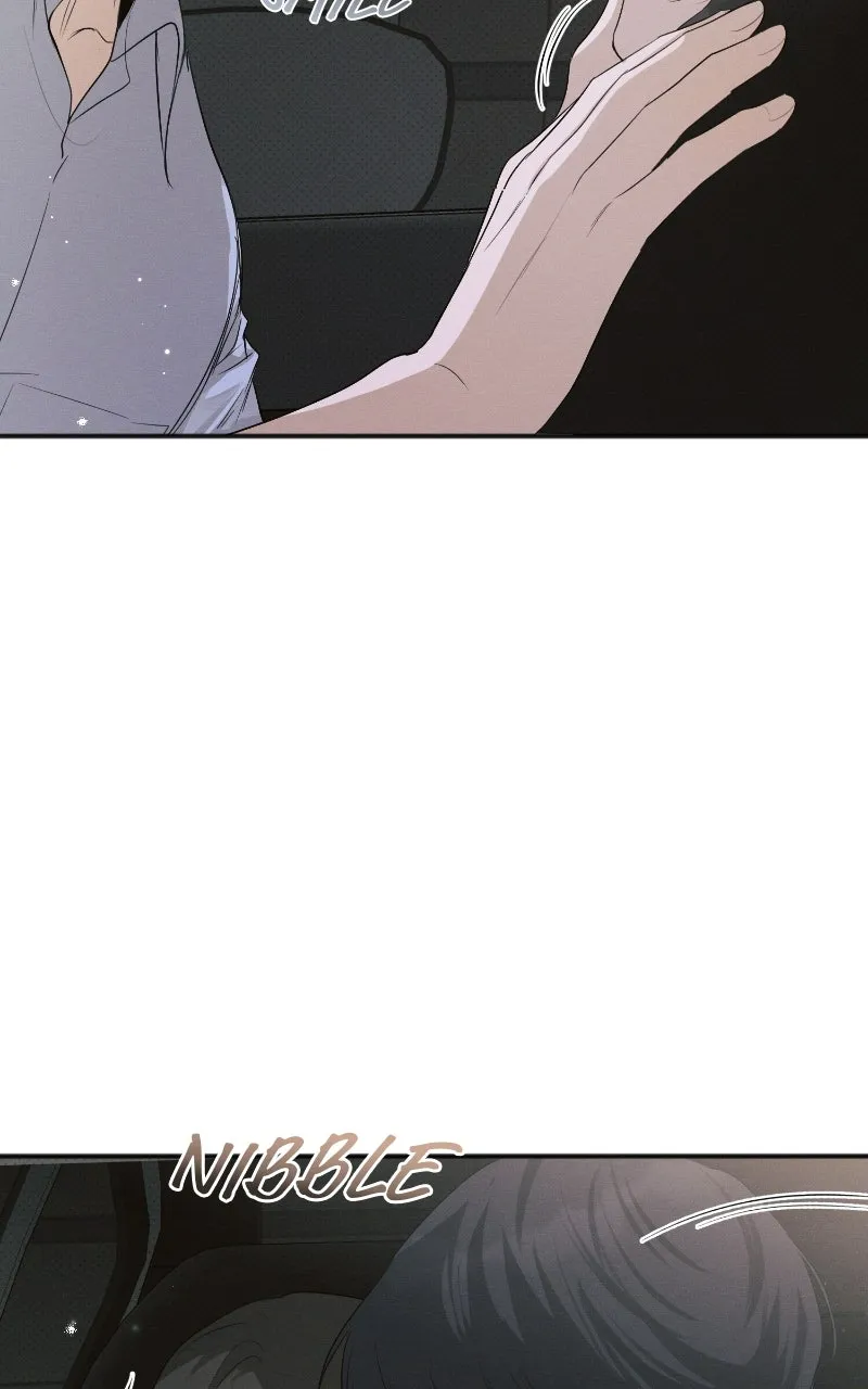 The Perfect Contract Chapter 57 page 84 - 