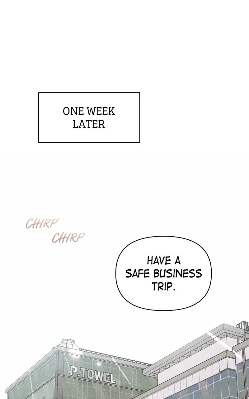 The Perfect Contract Chapter 61 page 19 - 