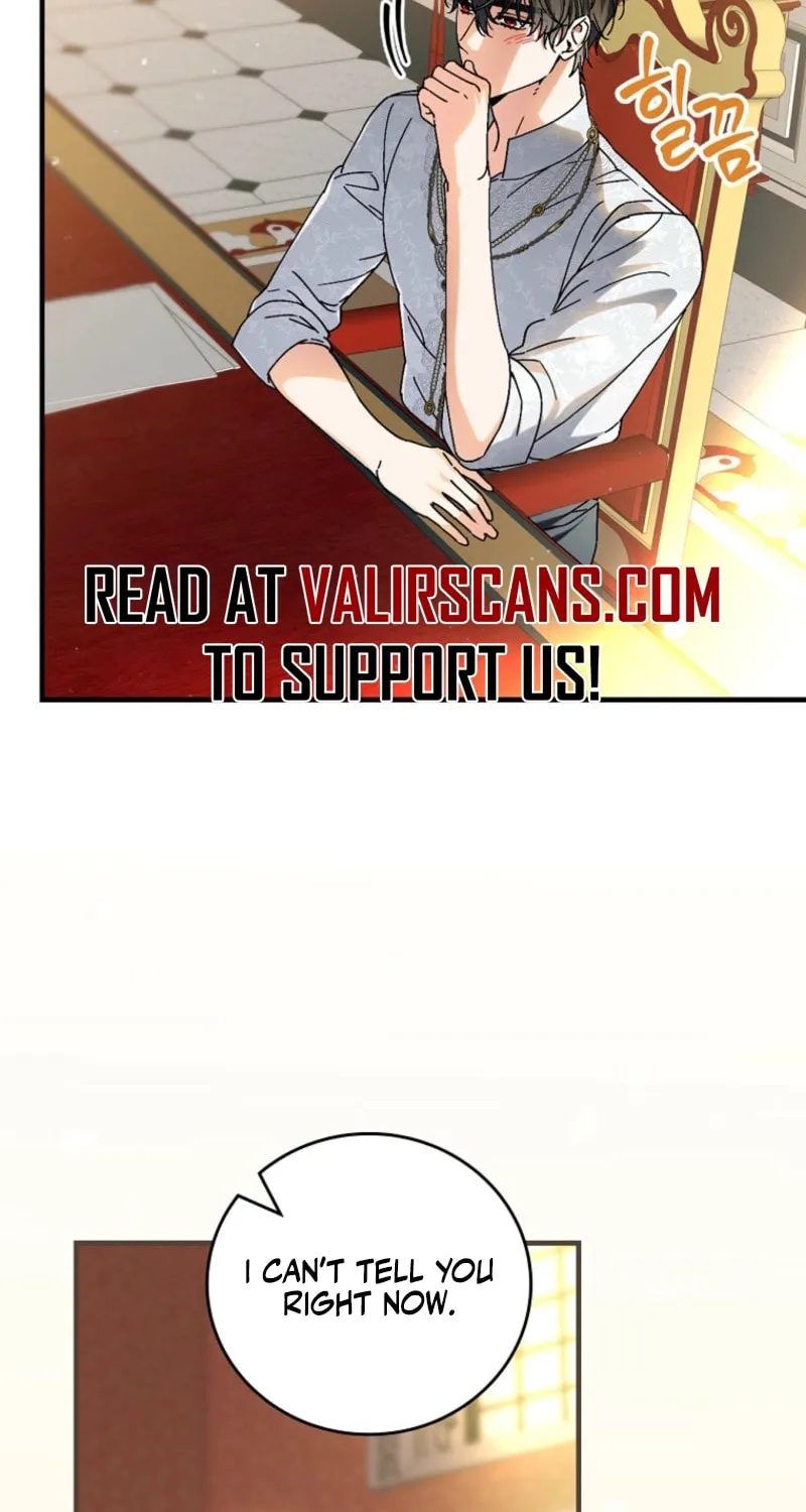 The Perfect Plan for a Fairy-Tale Ending Chapter 108 page 79 - 