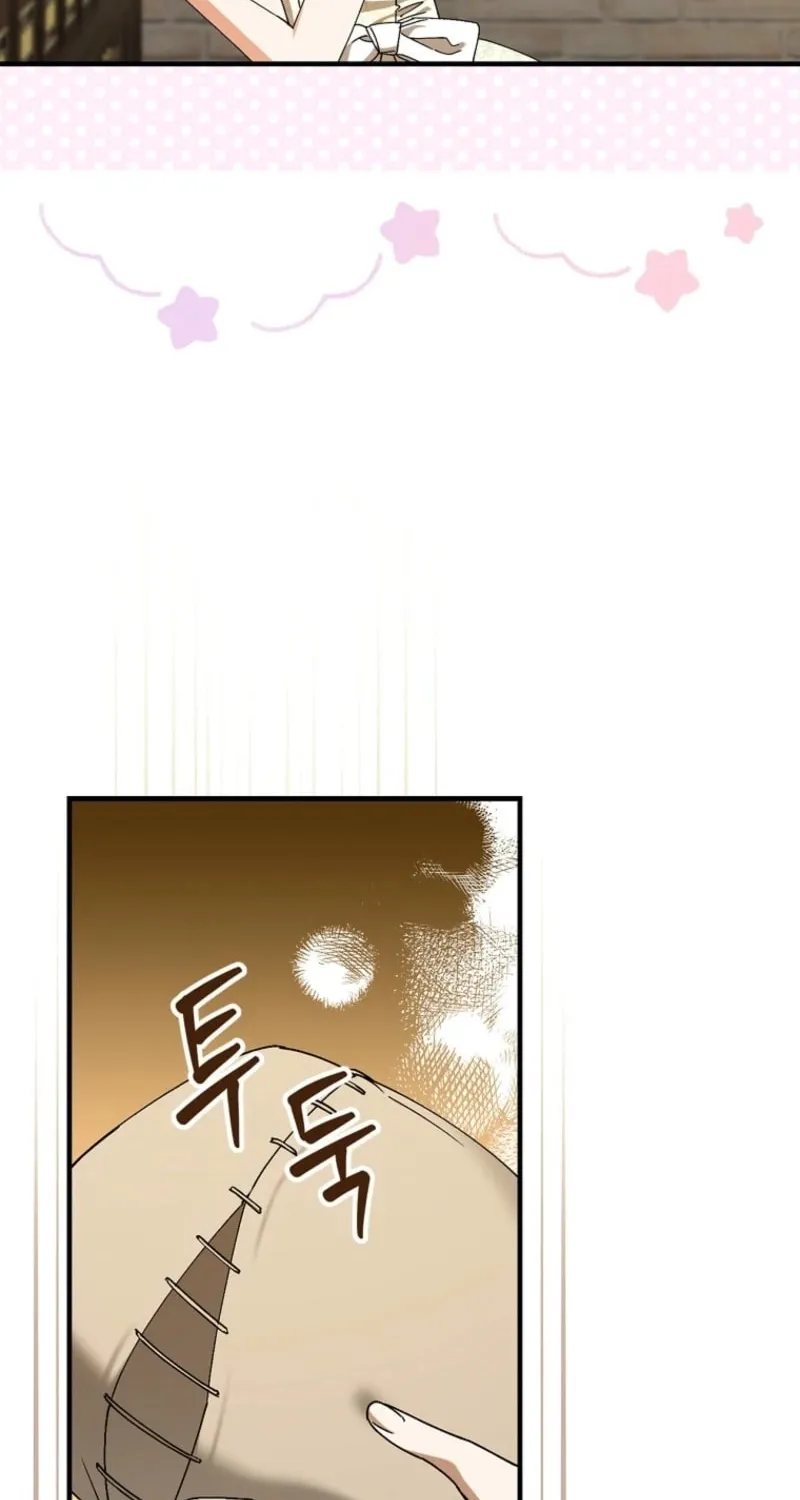 The Perfect Plan for a Fairy-Tale Ending Chapter 117 page 66 - 