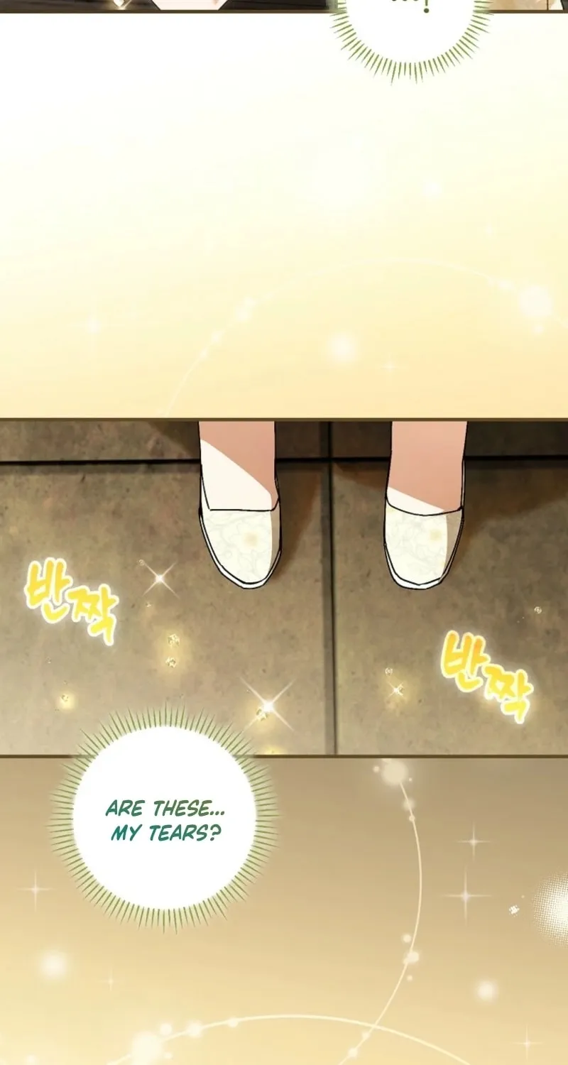 The Perfect Plan for a Fairy-Tale Ending Chapter 117 page 68 - 