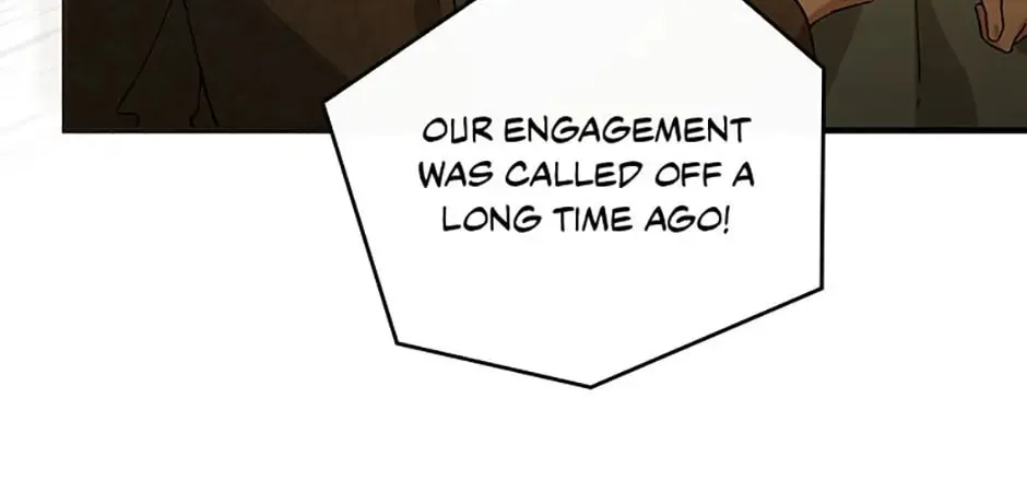 The Perfect Plan for a Fairy-Tale Ending Chapter 40 page 14 - 