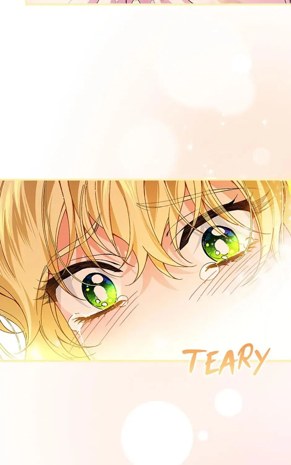 The Perfect Plan for a Fairy-Tale Ending Chapter 56 page 9 - 