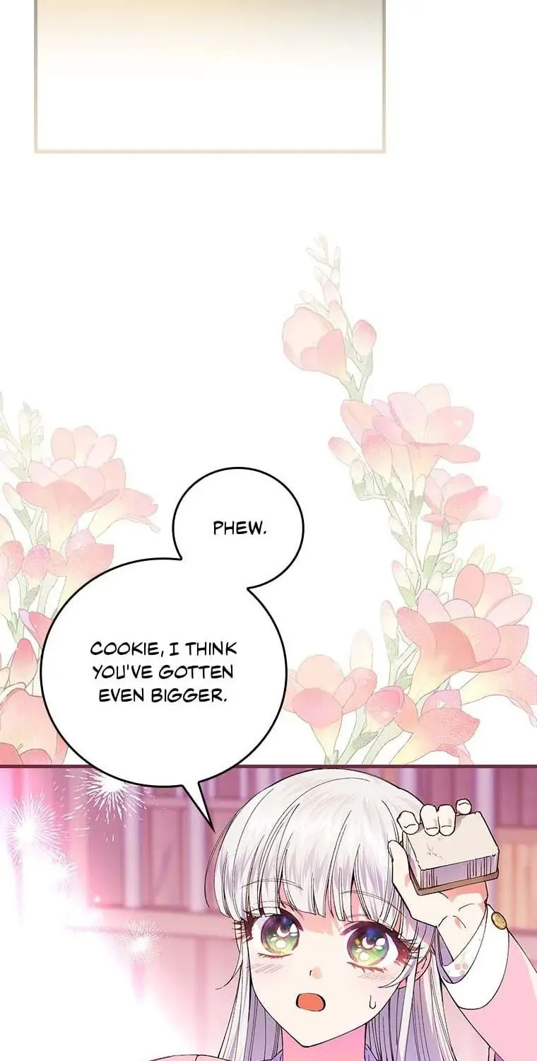 The Perfect Plan for a Fairy-Tale Ending Chapter 59 page 91 - 
