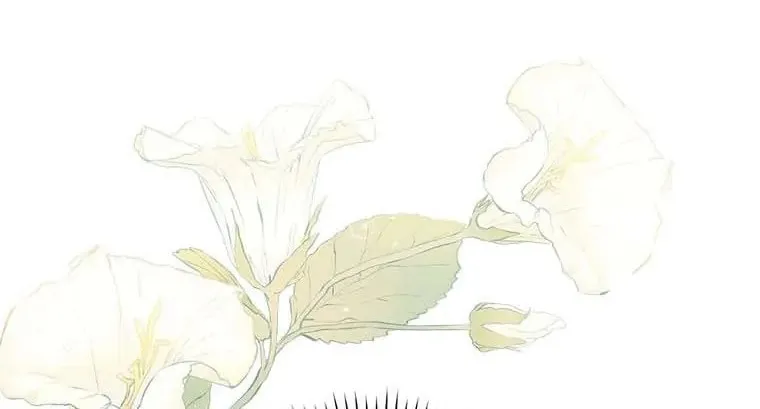 The Perfect Plan for a Fairy-Tale Ending Chapter 63 page 128 - 