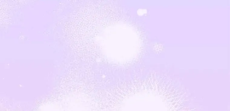 The Perfect Plan for a Fairy-Tale Ending Chapter 63 page 38 - 