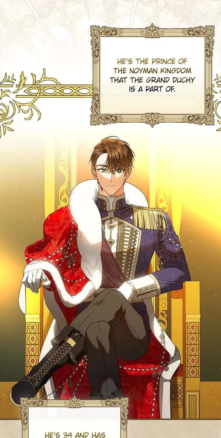 The Perfect Plan for a Fairy-Tale Ending Chapter 64 page 47 - 