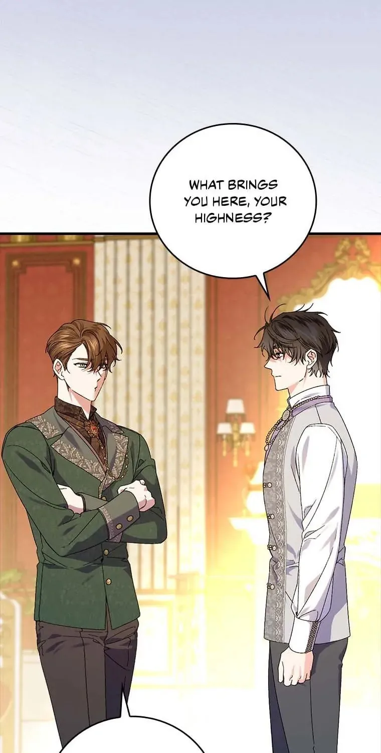 The Perfect Plan for a Fairy-Tale Ending Chapter 64 page 51 - 
