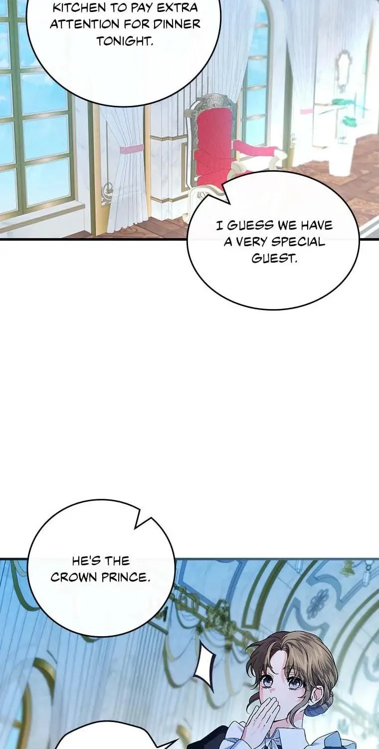 The Perfect Plan for a Fairy-Tale Ending Chapter 64 page 63 - 