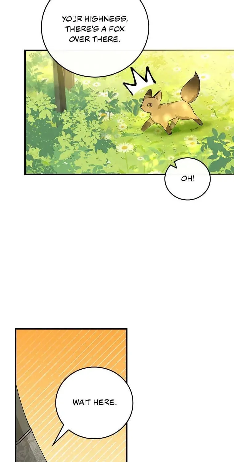 The Perfect Plan for a Fairy-Tale Ending Chapter 66 page 61 - 