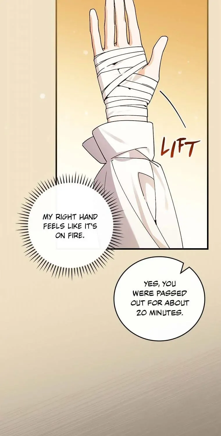 The Perfect Plan for a Fairy-Tale Ending Chapter 67 page 45 - 