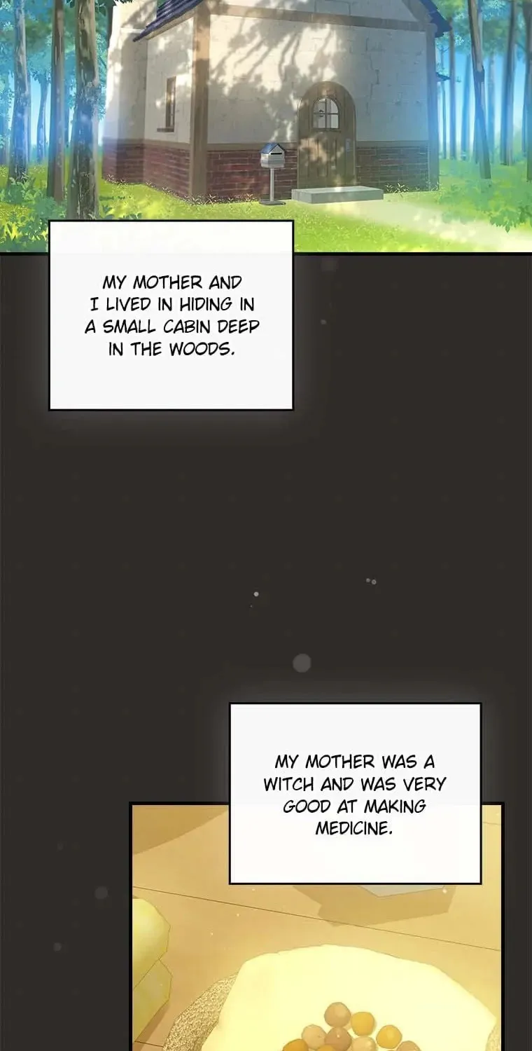 The Perfect Plan for a Fairy-Tale Ending Chapter 67 page 67 - 