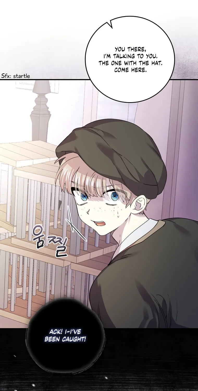 The Perfect Plan for a Fairy-Tale Ending Chapter 7 page 13 - 