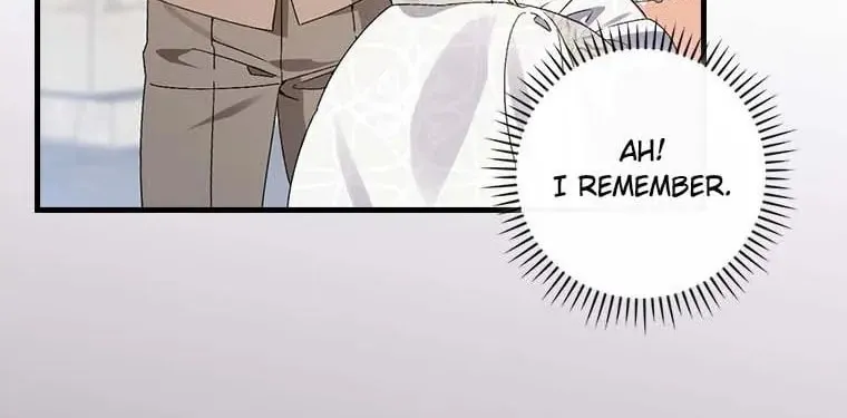 The Perfect Plan for a Fairy-Tale Ending Chapter 71 page 74 - 