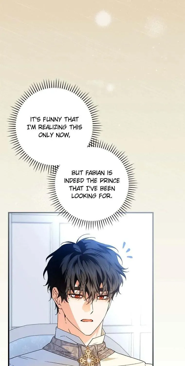 The Perfect Plan for a Fairy-Tale Ending Chapter 74 page 95 - 
