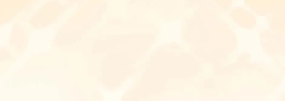 The Perfect Plan for a Fairy-Tale Ending Chapter 81 page 4 - 