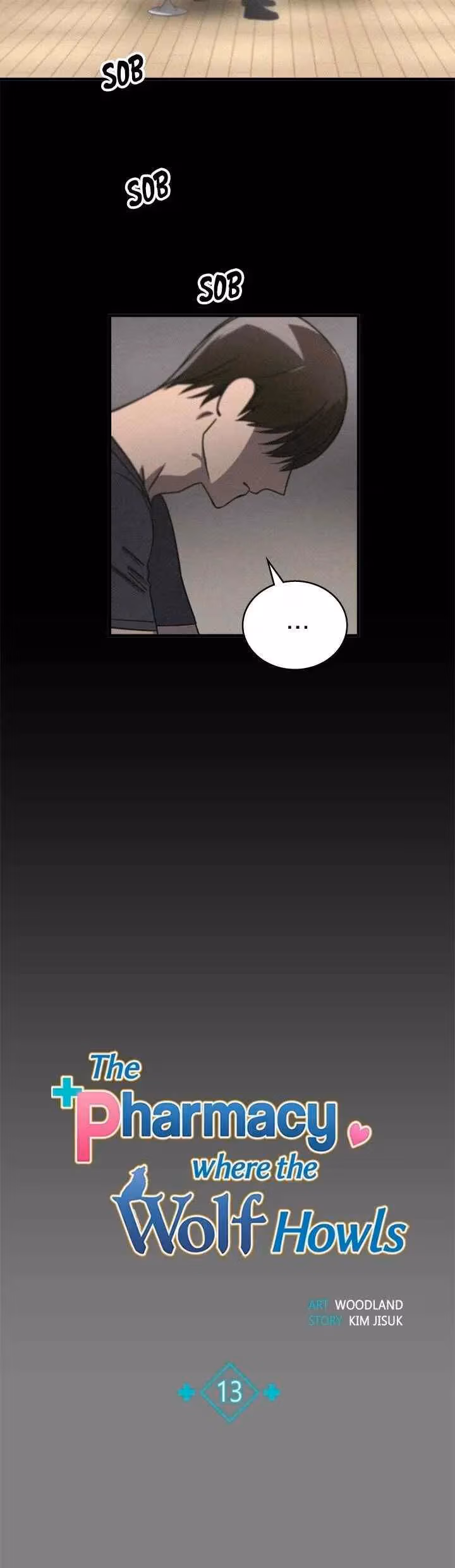 The Pharmacy Where the Wolf Howls Chapter 13 page 7 - 