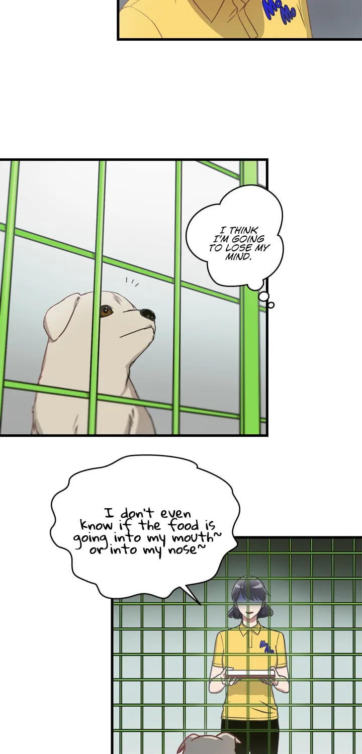 The Pharmacy Where the Wolf Howls Chapter 2 page 34 - 