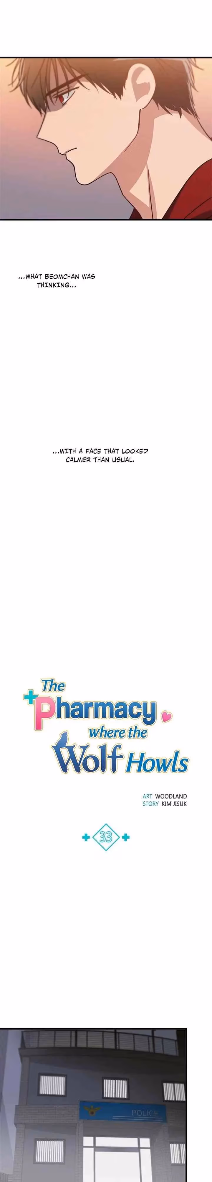The Pharmacy Where the Wolf Howls Chapter 33 page 7 - 