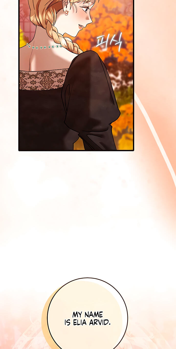 The Pirate's Slave Bride Chapter 11 page 3 - 