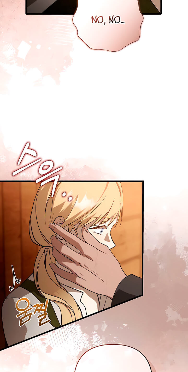 The Pirate's Slave Bride Chapter 14 page 73 - 