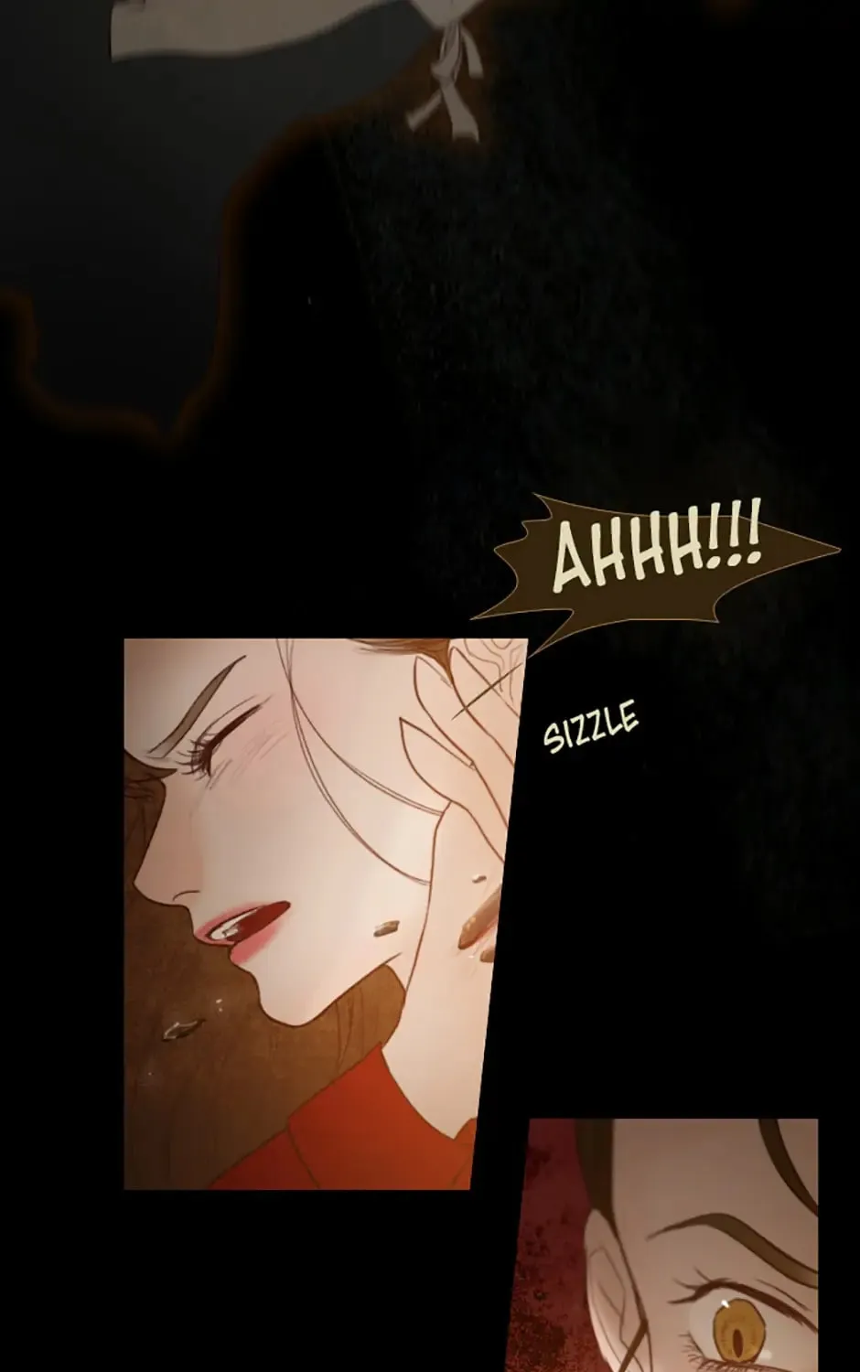 The Portrait Chapter 11 page 20 - 