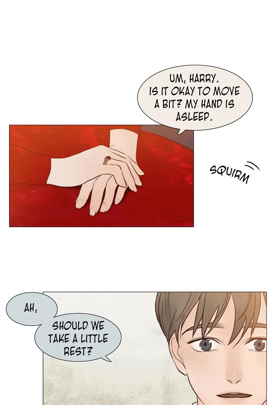 The Portrait Chapter 13 page 28 - 