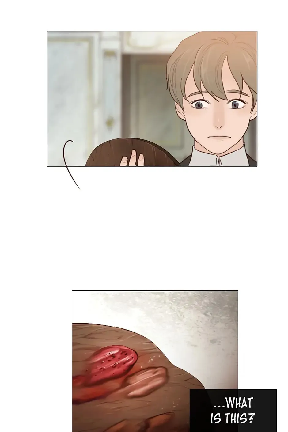 The Portrait Chapter 13 page 42 - 