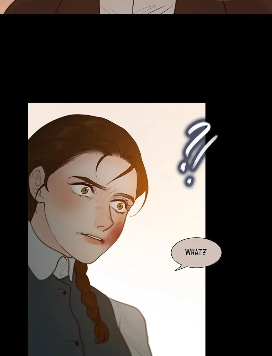 The Portrait Chapter 25 page 16 - 