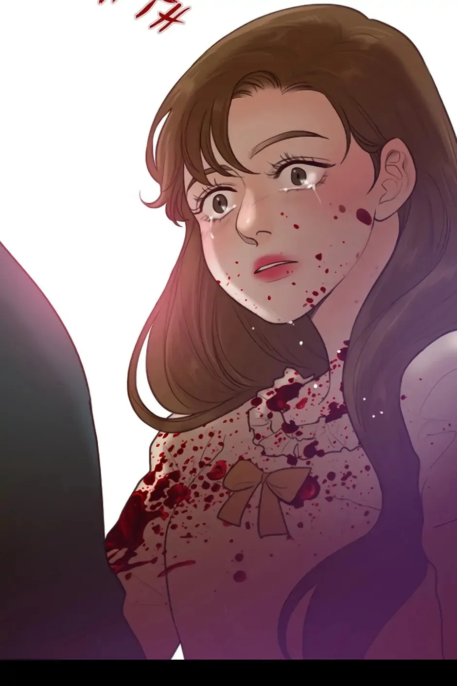 The Portrait Chapter 26 page 14 - 