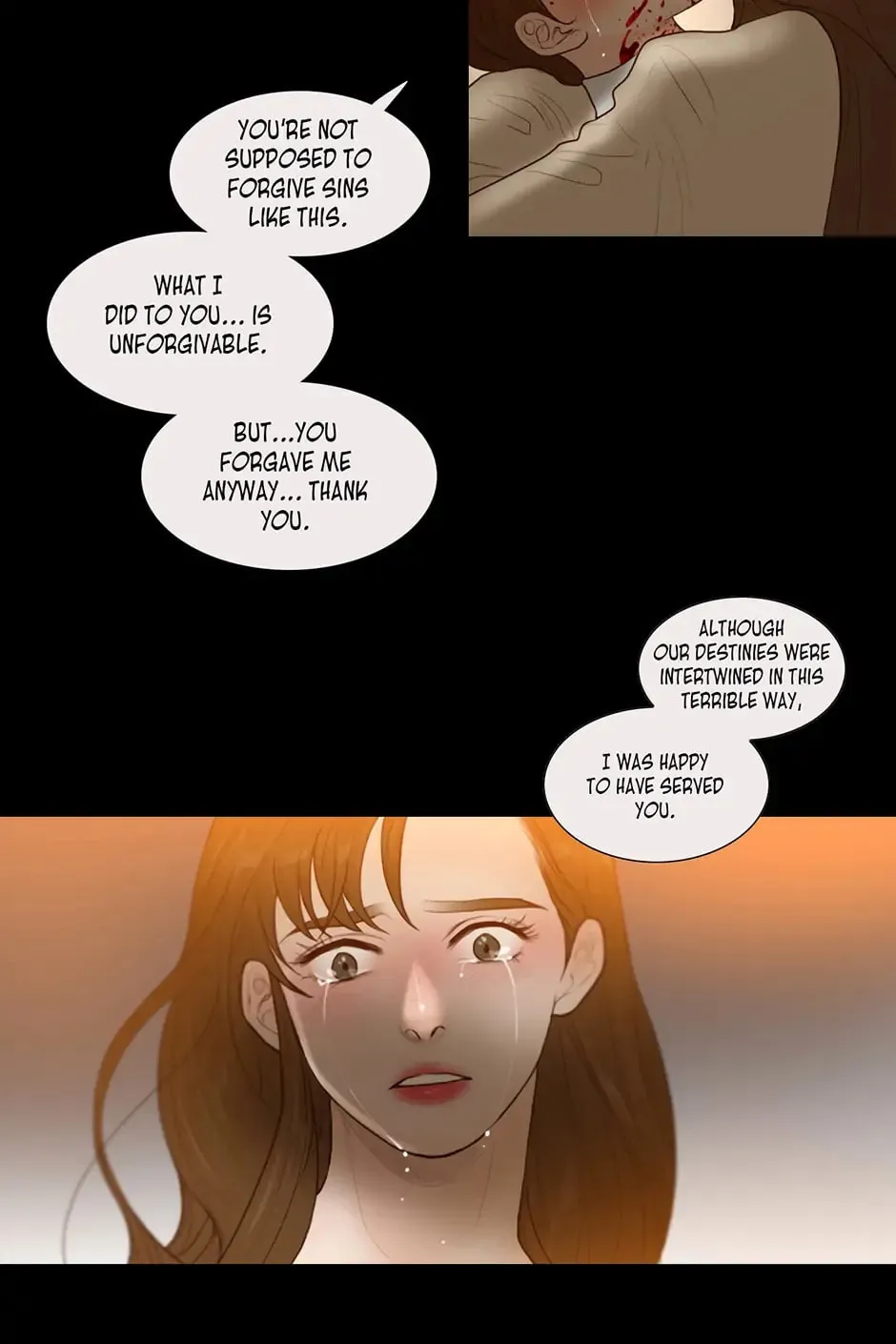 The Portrait Chapter 26 page 17 - 