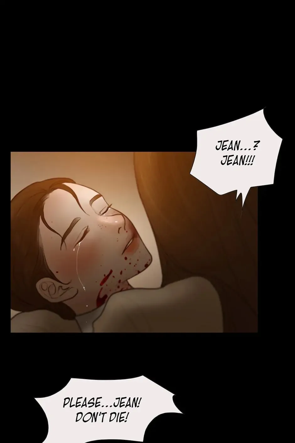 The Portrait Chapter 26 page 19 - 