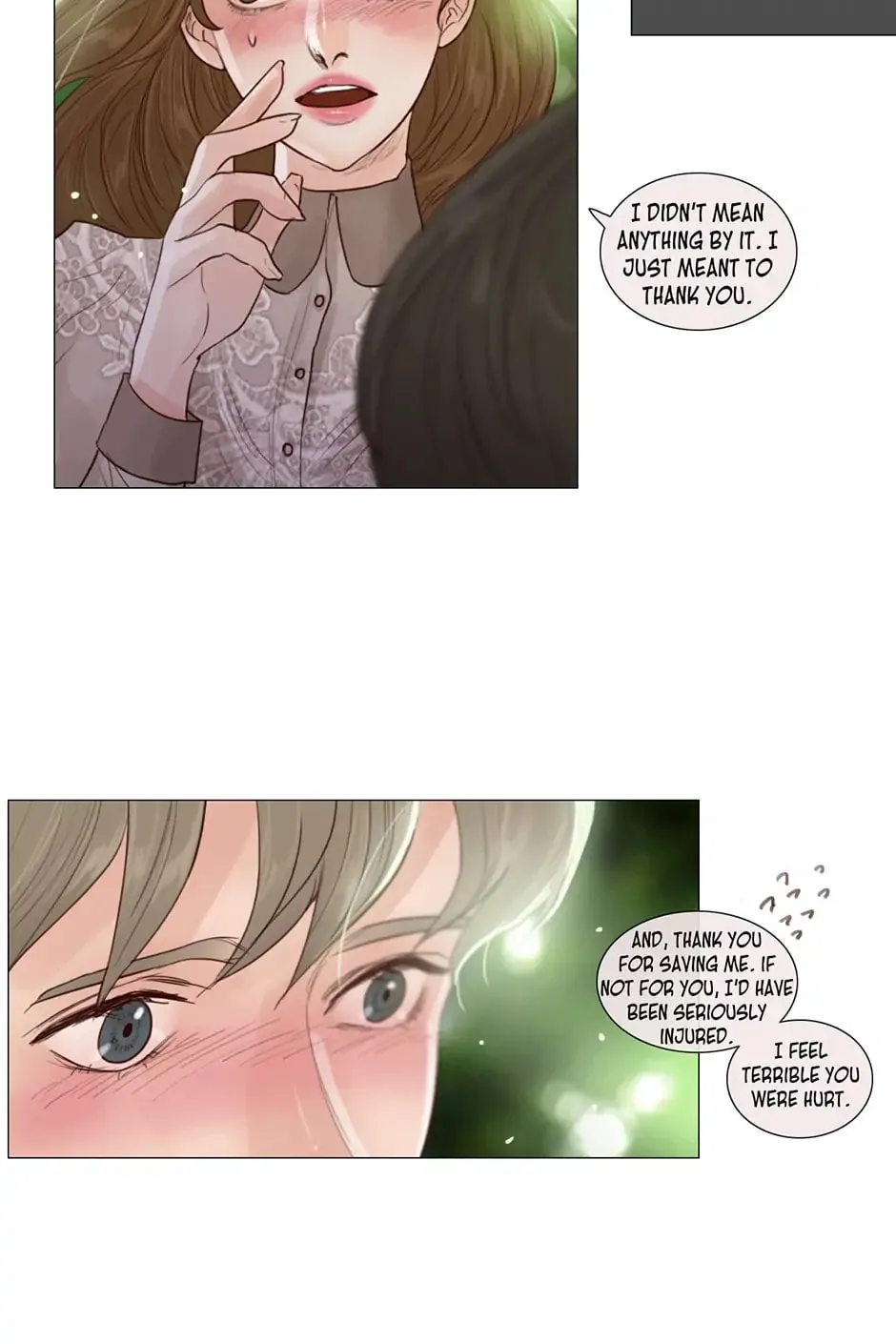 The Portrait Chapter 33 page 19 - 