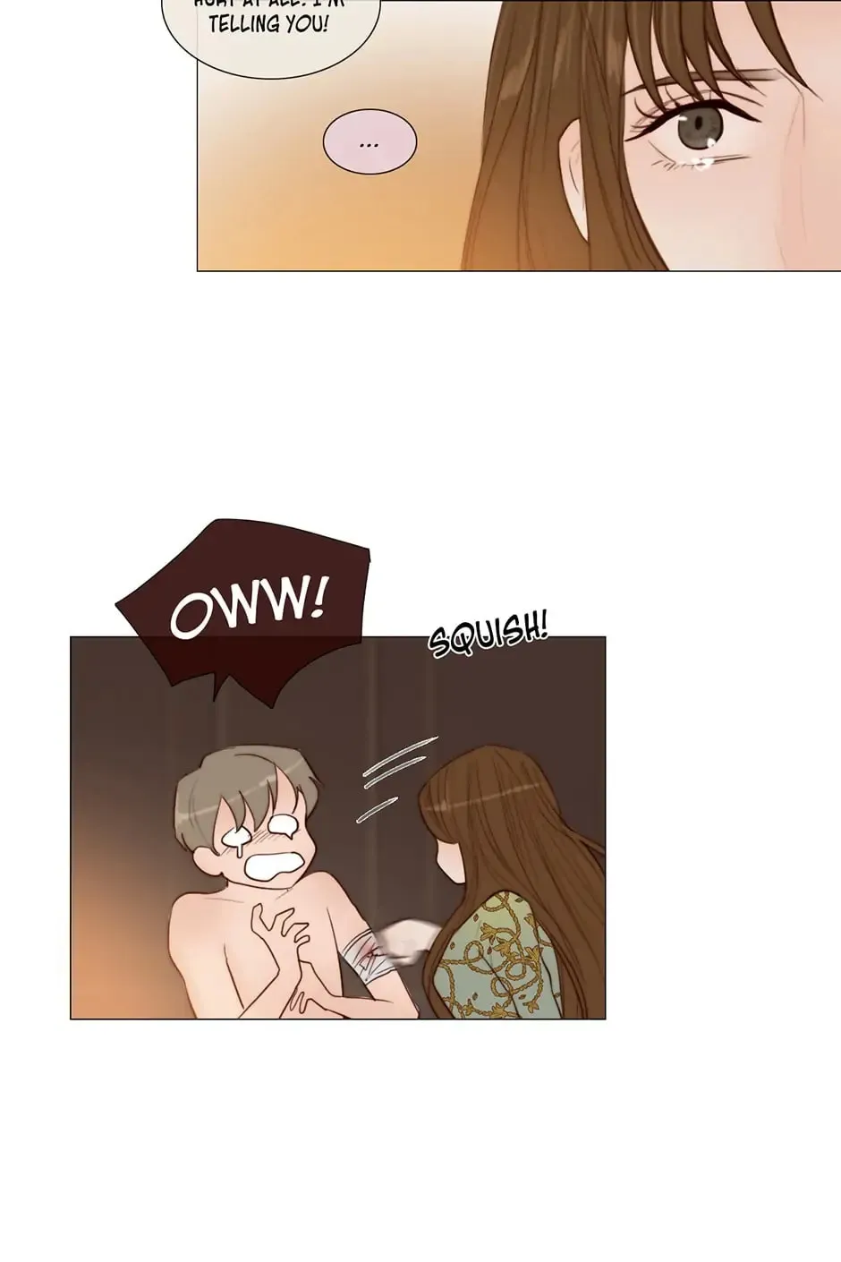 The Portrait Chapter 43 page 24 - 