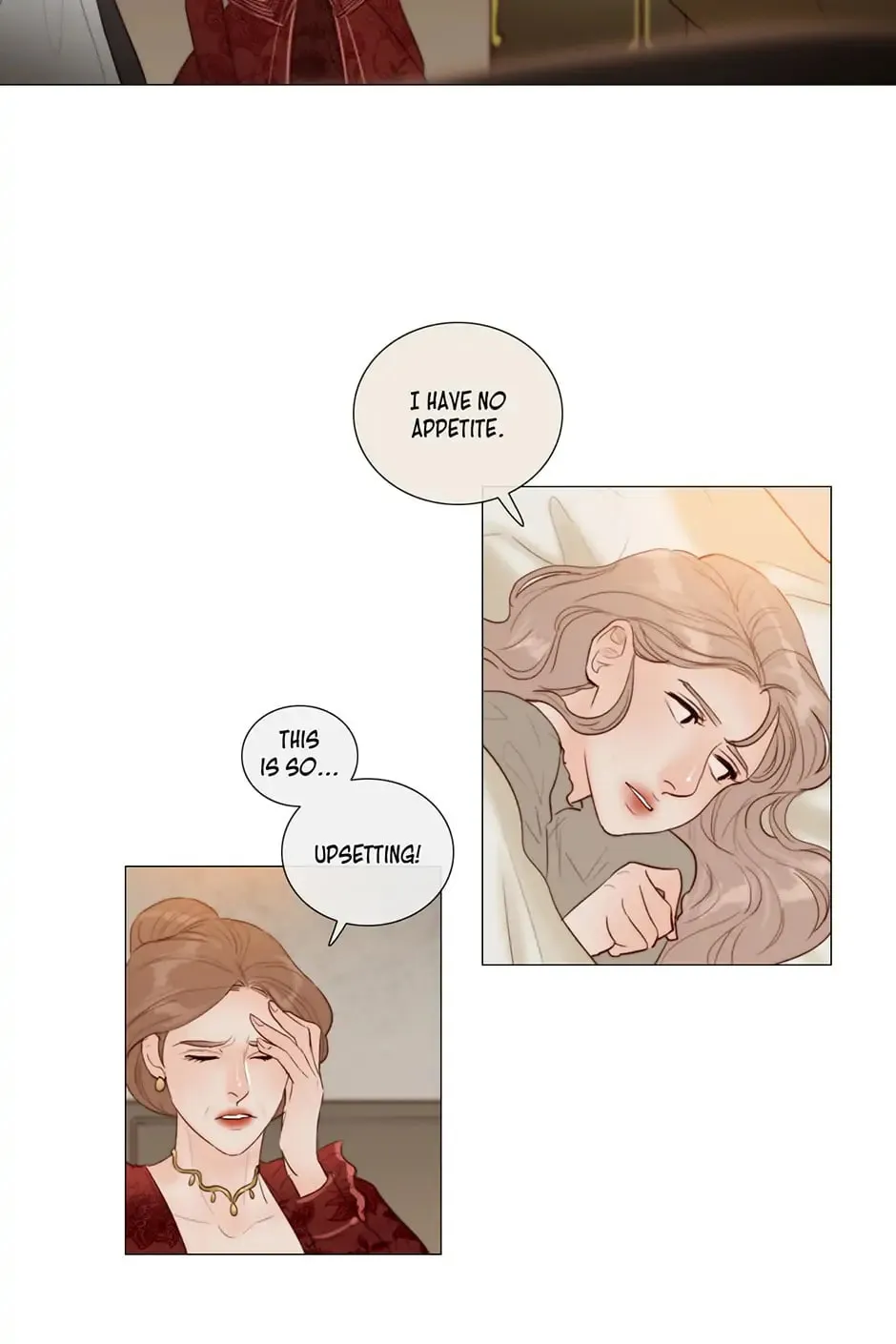 The Portrait Chapter 47 page 17 - 