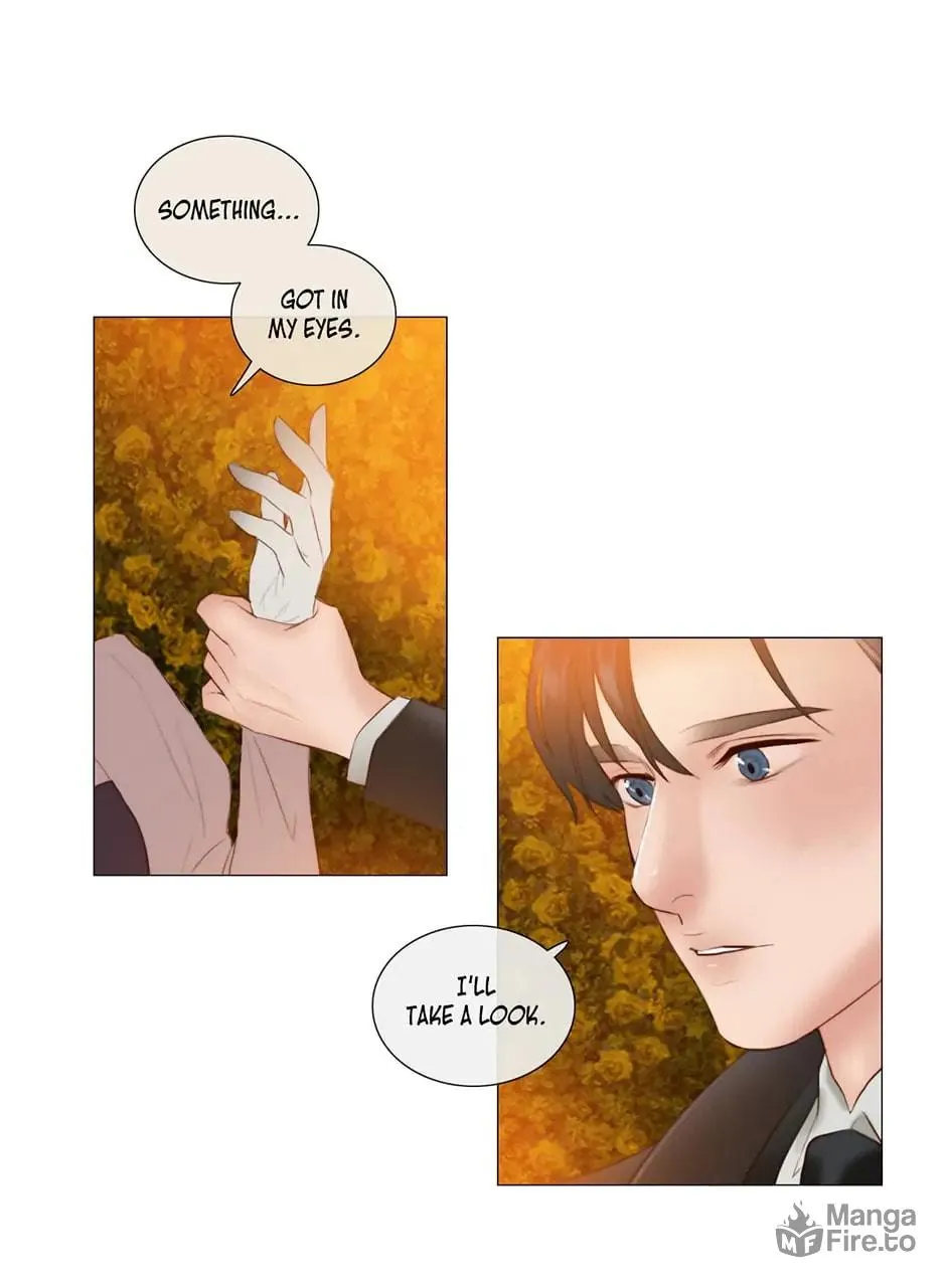 The Portrait Chapter 48 page 21 - 