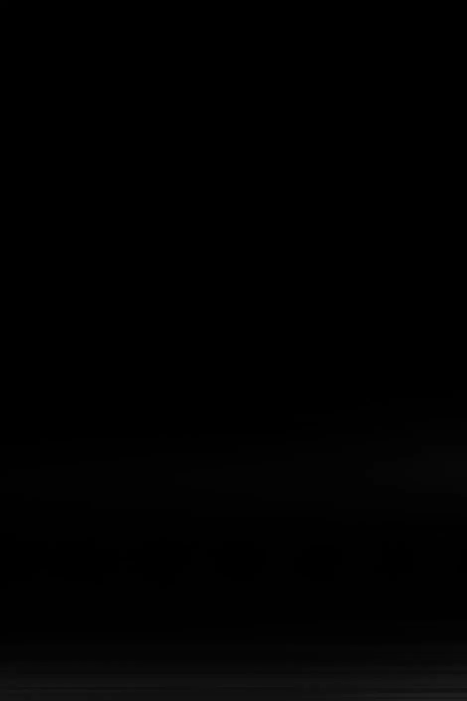 The Portrait Chapter 55 page 33 - 