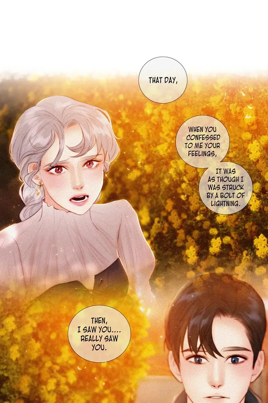The Portrait Chapter 62 page 29 - 